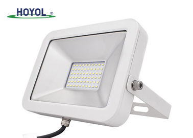 백색 높은 루멘 LED 홍수 빛 20W 100Lm/W 5500K IP65 LED 홍수 빛
