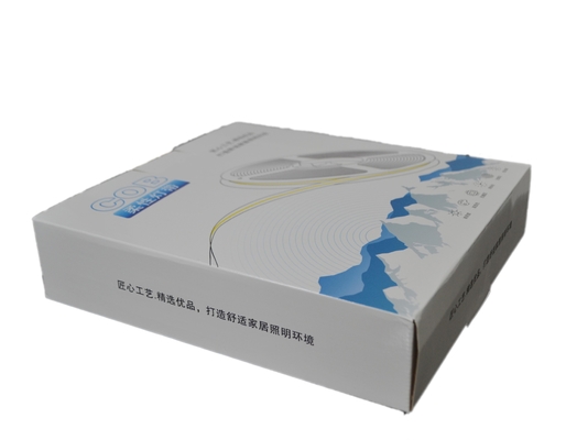 HOYOL 레드 COB Led 스트립 320 LEDs/M IP20 DJ 바에 대 한 유연한 24V 저전압 라이트 스트립